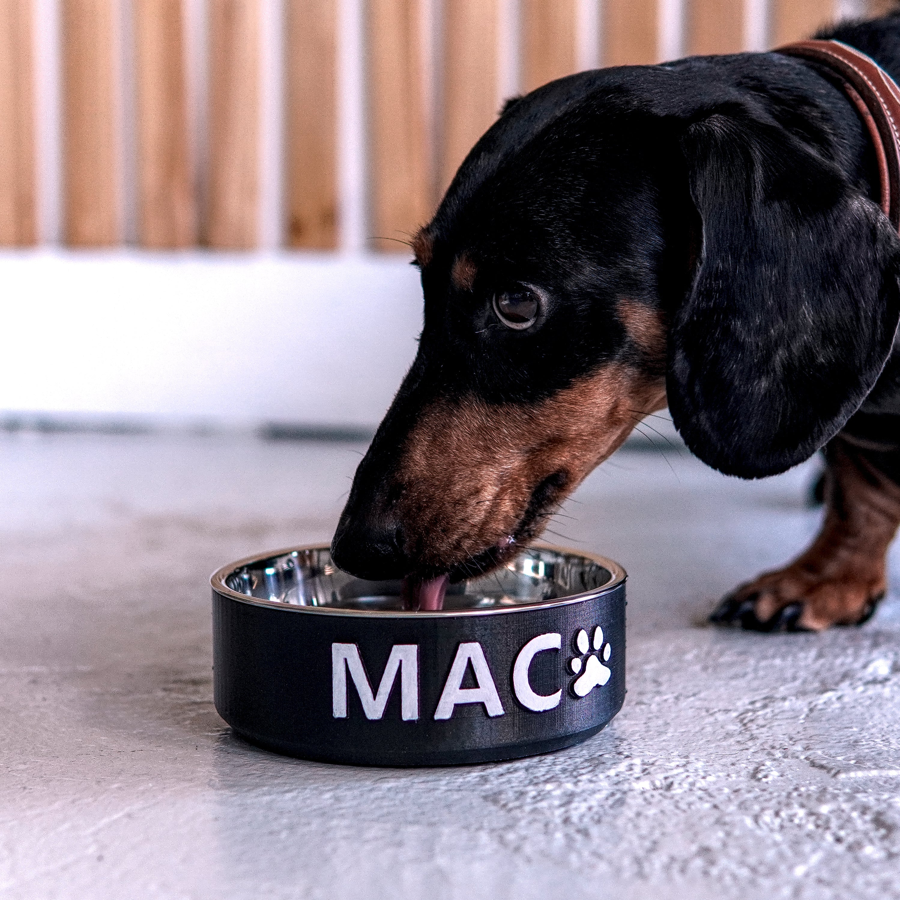 Forma Pets – Custom Name Bowl | Hand-Finished Personalized Pet Bowl