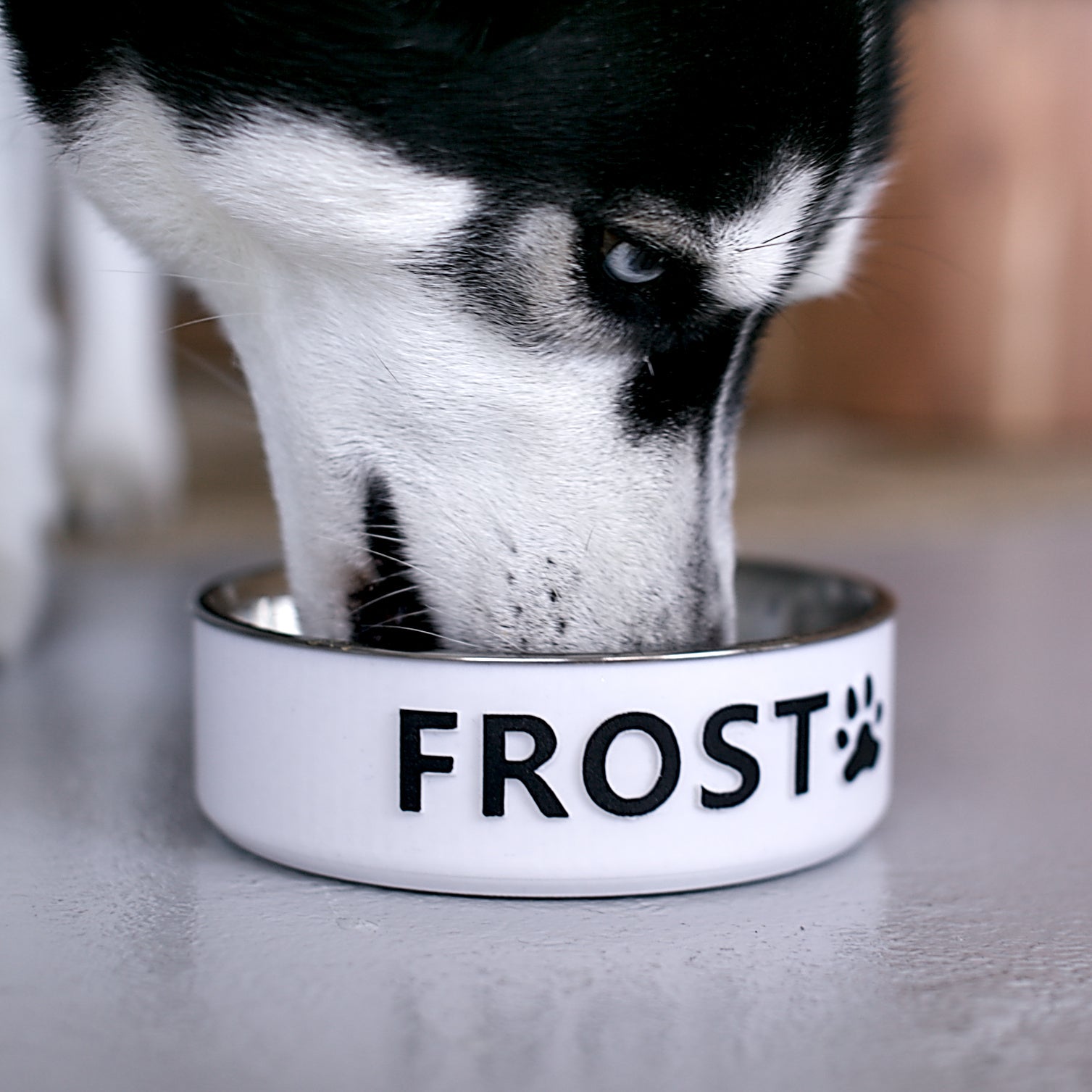 Forma Pets – Custom Name Bowl | Hand-Finished Personalized Pet Bowl