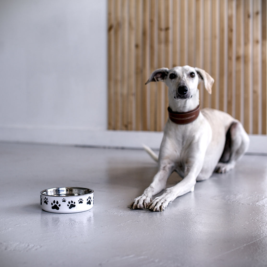 Forma Pets – The Pawprint Edition | Hand-Finished Designer Pet Bowl