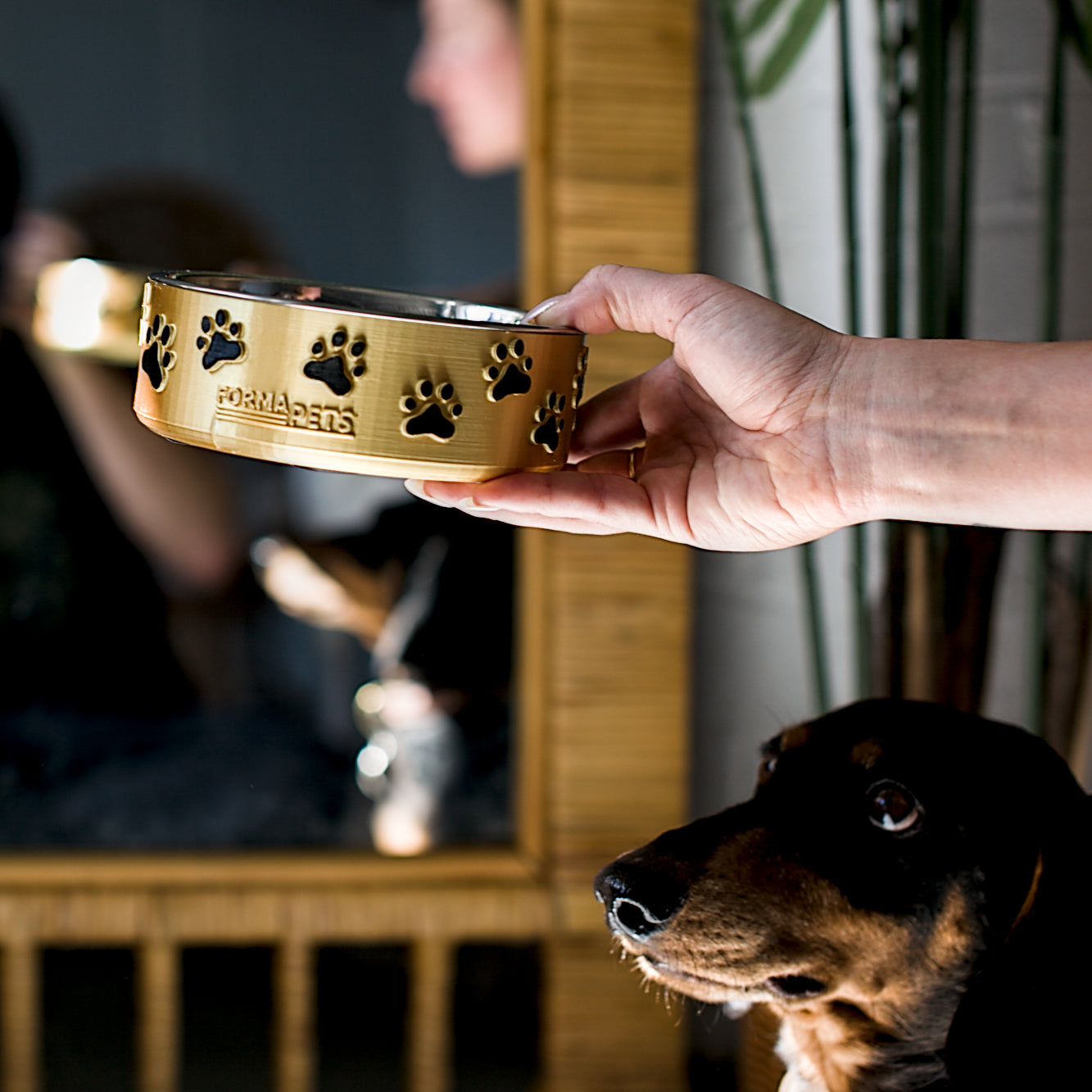 Forma Pets – The Pawprint Edition | Hand-Finished Designer Pet Bowl